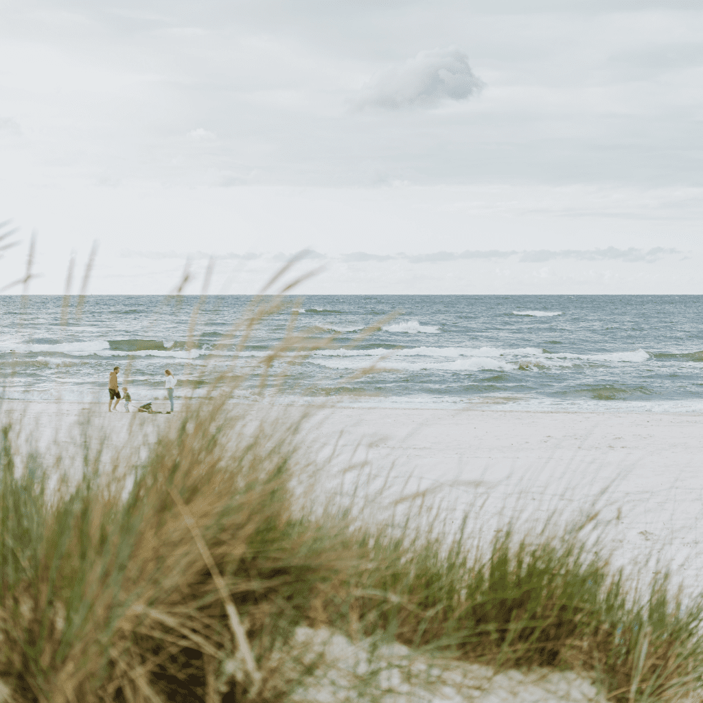 Sandy beach with grass , a family playing in the distance.
