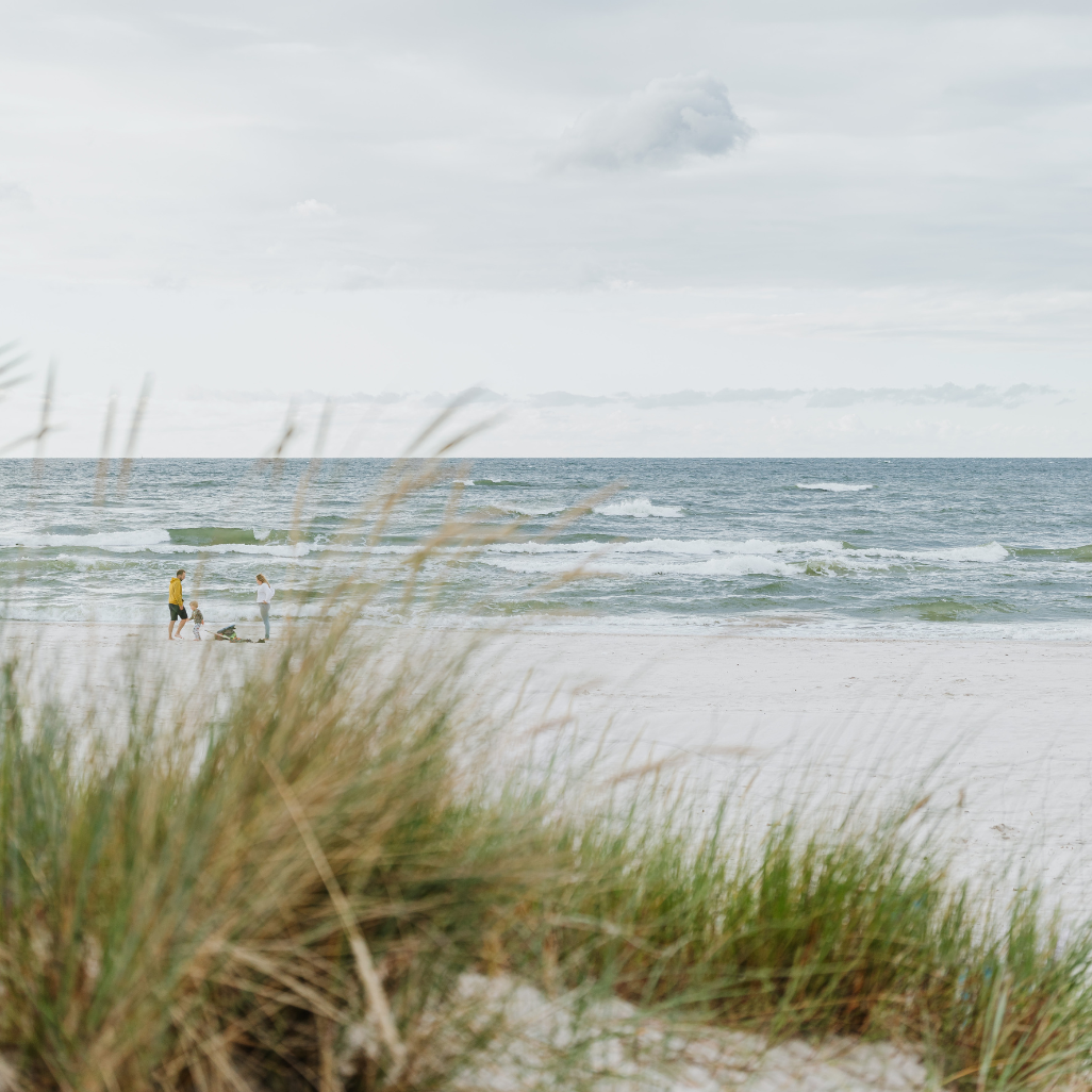 Sandy beach with grass , a family playing in the distance.